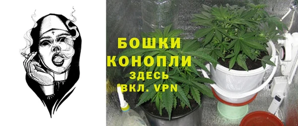метадон Михайлов
