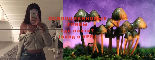 метадон Михайлов