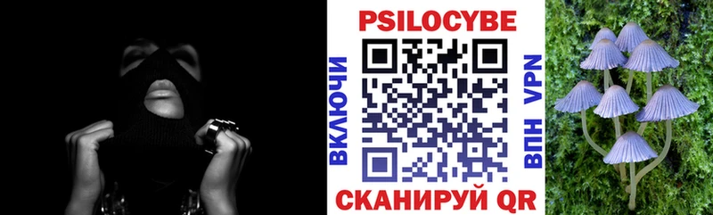 даркнет сайт Ярославль Галлюциногенные грибы Magic Shrooms