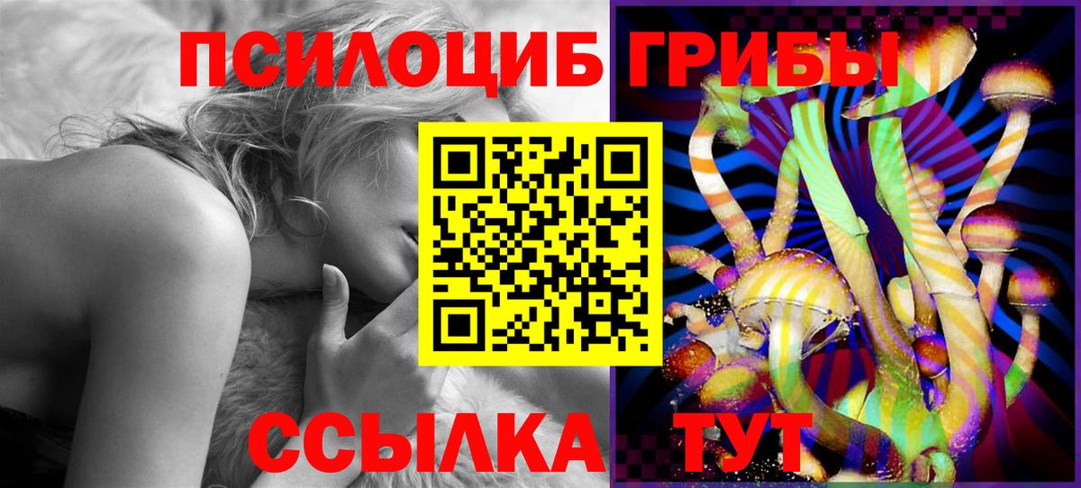 Галлюциногенные грибы MAGIC MUSHROOMS  купить наркоту  Вход с VPN  Ярославль  Галлюциногенные грибы GOLDEN TEACHER 